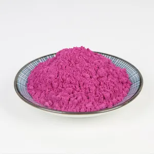 OEM Private Certificated Freeze Dried Red Pitaya Powder Organic Red Dragon Fruit Powder