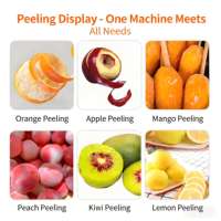 SX Merk Fruit Schilmachine voor Sinaasappels en Appels - Volledig Automatisch Hoge Productiviteit 220V 100W met 1 Jaar Garantie