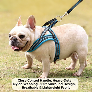 Correas Personalizadas Resistentes y Fuertes para Mascotas, Juego de Arnés y Correa para Perro de Nailon Reflectante Antideslizante - Product Image 2