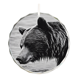 คริสตัลหินธรรมชาติตกแต่งห่วงโซ่รูปหอยทากอาเกตตกแต่งคริสตัล - Product Image 3