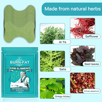 Patch Minceur Herbal Efficace pour Brûler les Graisses et Raffermir la Peau, Patch Minceur aux Herbes pour Jambes et Bras, Vente en Gros Usine