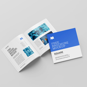 <span class=keywords><strong>Brochure</strong></span> et catalogue d'entreprise à couverture souple avec reliure parfaite, papier offset, laminé mat/brillant - Product Image 3