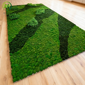 Paredes de Musgo Real Preservado DIY - Arte de Jardín <span class=keywords><strong>Vertical</strong></span> Ecológico, Resistente al Agua y Personalizable para Decoración <span class=keywords><strong>Interior</strong></span> Colgante - Product Image 2