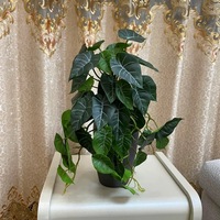 Plante Artificielle en Pot Feuillage Réaliste Faux Calathea pour Décoration Intérieure et de Bureau