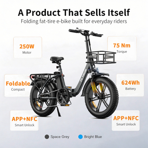 Vélo électrique pliable 20 pouces à pneus larges 250W 48V13Ah 624Wh 120KM Batterie amovible Charge 4-6H 7 vitesses IP65 Stock local UE/Royaume-Uni Vente en gros - Product Image 6