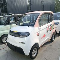 EEC COC, Vehículo Eléctrico de Dos Puertas y Cuatro Plazas, 15kw, Sin Licencia, Cuatro Ruedas, 45 Km/H, Mini Auto Eléctrico Cerrado para Adultos