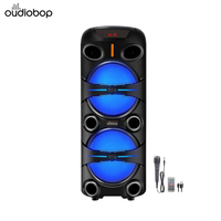 Fábrica de Altavoces ODM, Sistema de Audio Karaoke Digital para el Hogar con Micrófono con Cable, Función de Altavoz Estéreo TWS