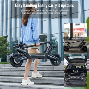 Trottinette en acier à haute teneur en carbone, pneus de 11 pouces, 48 V 18,2 Ah, charge utile de 120 kg, autonomie de 50 km, propulsion arrière, freins à disque, J2MAX Freeboy USA EU Wareh - Product Image 3