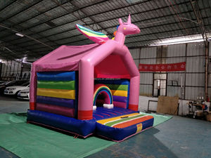 Hola phổ biến PVC Inflatable lâu đài bouncy/Inflatable Bouncer/Inflatable nhảy nhà - Product Image 5