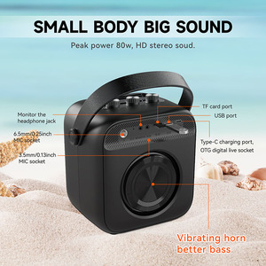 ลำโพงบลูทูธ W6แบบพกพาพร้อมไมโครโฟนไร้สายคาราโอเกะและแอมป์ดนตรี - Product Image 6