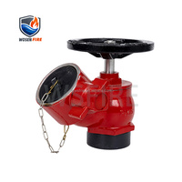 Robinet de sortie en fonte ductile type BS pour hydrant d'incendie avec bride rouge 2,5 pouces – Excellent prix – Équipement et accessoires de lutte contre l'incendie