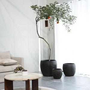 Maceta de <span class=keywords><strong>barro</strong></span> de magnesio de gran calibre, estilo retro, biodegradable, para <span class=keywords><strong>exterior</strong></span> e interior, para patio y villa, estilo Wabi-sabi, tipo China. - Product Image 2