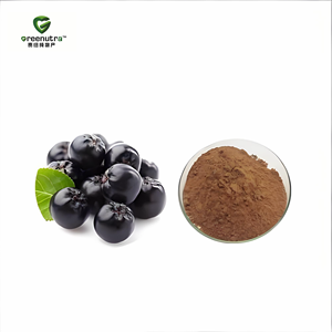 Extrait de baies d'<span class=keywords><strong>aronia</strong></span>, <span class=keywords><strong>poudre</strong></span> d'anthocyanine, compléments antioxydants haute puissance, colorant alimentaire naturel, applications alimentaires santé - Product Image 1