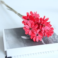 Ins Style coloré fait à la main des graines de tournesol séchées fleurs de haute qualité pour la maison bricolage ornement ou cadeaux à Friens
