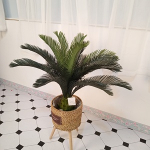 Alta calidad artificial bonsái de plástico plantas de sagú <span class=keywords><strong>cycas</strong></span> - Product Image 2