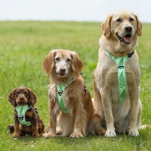 サンレイマスコタ カスタマイズ可能な犬用ハーネス 卸売製造 調整可能なパッド入り ノープル犬用ハーネス Y型ハーネス 大型犬用 - Product Image 6