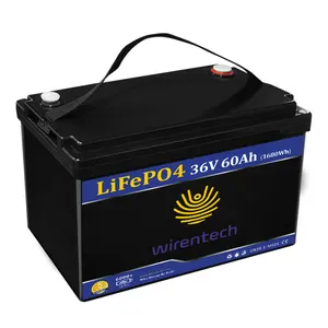 Fast Charging Forklift Battery 24V 36V 40V 48V 60Ah 100Ah 600Ah 1000Ah Forklift Lithium Lifepo4 Battery