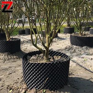 ZCWY – pot en plastique HDPE à croissance rapide pour plantes, bac de taille à air pour arbre d'extérieur