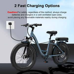 Batterie de vélo électrique Silver Fish en stock UE 36V 21Ah Lithium-ion 20A BMS 2C Décharge Tube de selle Étanche 1500W Pliable - Product Image 5