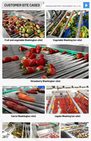 Machine de lavage de fruits à haute pression pour le surf, ligne commerciale de lavage et de séchage de tomates, machine de tri et de lavage d'avocats