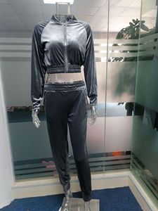 2025 Lässige Samt anzüge für Frauen Herbst und Winter Einfarbige Kapuzen pullover mit Reiß verschluss und Jogger hose Zweiteilige Sets Anpassbar - Product Image 6