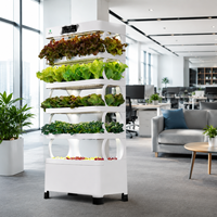 Système de culture hydroponique d'intérieur avec éclairage LED, jardinière verticale à 5 niveaux pour herbes et légumes, auto-arrosant