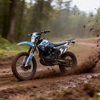 Direktvertrieb 300ccm Neues 4-Takt Luftgekühltes 2-Ventil Benzin-Dirtbike für Erwachsene mit Elektrostart und Doppelscheibenbremsen Motor Cross CQR
