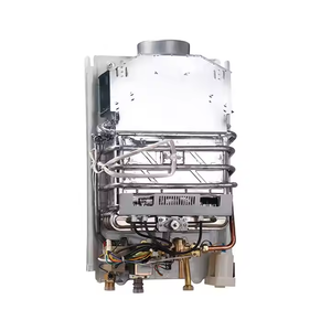 Calentador <span class=keywords><strong>de</strong></span> agua a gas natural montado en la pared 2024 Fácil <span class=keywords><strong>de</strong></span> usar Calentamiento rápido Estilo instantáneo 10L 12L Acero Precio sin tanque Aplicación al aire libre - Product Image 3