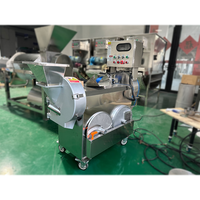 Commerciële Groente-En Fruitshreddermachine Voor De Verwerking Van Groenten