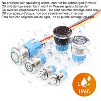 Interrupteur à bouton poussoir éclairé par anneau LED en acier inoxydable IP65 1NO1NC pour appareils ménagers, bateaux marins, véhicules automobiles, camions