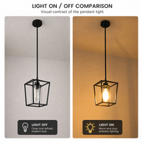 Lampe suspendue industrielle vintage en métal noir, cage hexagonale avec abat-jour en verre, E26, luminaire suspendu pour café, bar, table à manger