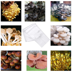 Chất lượng cao dùng một lần bền sinh thái thân thiện Polypropylene nấm phát triển túi với bộ lọc - Product Image 2