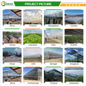 Invernadero agrícola de película de plástico PE de un solo tramo pequeño de alta calidad para sistema de riego y cultivo de hongos - Product Image 5