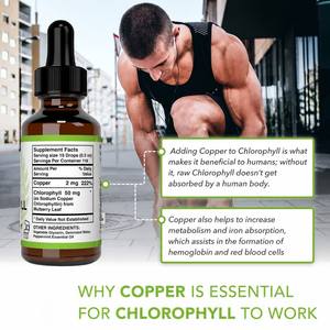 Prix Abordable – Complément Alimentaire Liquide de Chlorophylle Naturelle Végétalienne Sans Sucre pour Adultes, 59 ml – Idéal pour l'Anémie et la Stimulation Énergétique - Product Image 1