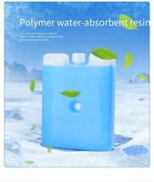 Blocs de glace HDPE réutilisés Aucune injection d'eau requise Glacière Tiramisu Glacière en cristal de glace avec gel