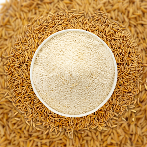 Proteína Vegana Aislada de Arroz Integral Natural, Suplementos Nutricionales, Bebida Funcional, Vida Útil de 24 Meses, Fittree Nutrition - Product Image 1