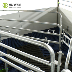 Entrega de fábrica, jaula de parto de bienestar para cerdo, diseño de libertad, bienestar animal, Cama Abierta De Lactancia Para Cerdas - Product Image 4