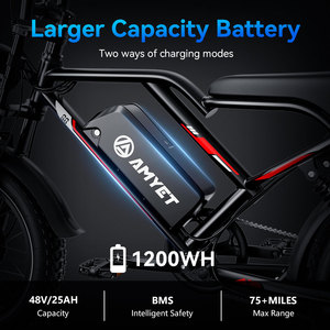 AMYET Vente en Gros <span class=keywords><strong>Pas</strong></span> <span class=keywords><strong>Cher</strong></span> Rapide 20 Pouces 1000w 48v Sport Import Powerful E Bikes 2023 Electric Men's Bike5 20 Inch Eu - Product Image 6