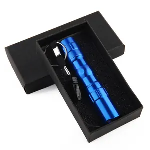 Super kleine LED-Taschenlampe mit Box Handheld Mini Pen Light Benutzer definierte Logo Taschenlampe mit hohem Feuerzeug für Camping