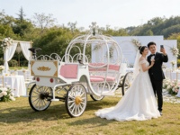 Voiture électrique Blanche-Neige Princesse à 4 roues avec lumières LED, télécommande, pour 4 à 6 personnes, manèges féeriques pour enfants, cosplay