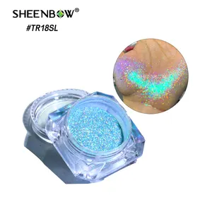 Sheenbow glitter bulk color shift chameleon Colorshift Pigment Cosmetic pigments glitter eyes holographic paint pigments