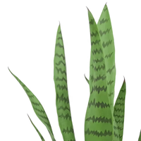 OH vente en gros Nouveau design Plante artificielle Bonsaï Plante serpent à toucher réel et verdure avec pot pour décoration intérieure et extérieure