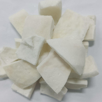Premium Gefreeze-droogde Kokosnoot Natuurlijk Zonder Toevoegingen Knapperige Gefreeze-droogde Kokosnoot Snack