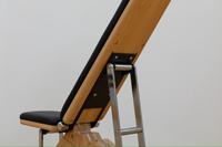 Banc de gymnastique réglable à domicile avec haltères pliables Support de musculation plat pratique