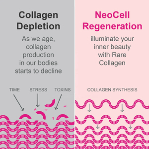 Los mejores suplementos de polvo de bebida de colágeno marino con vitamina C Halal para damas, bolsitas pequeñas para blanquear la piel vegetariana - Product Image 5