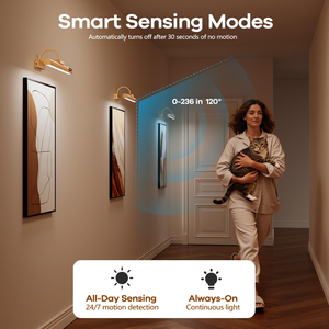 Dimmable Cordless Picture <b>Light</b> with Controller Rechargeable Mirror <b>Light</b> Wall Sconce for Wall Pictures Gallery Artwork Painting - Product Image 4