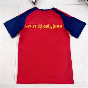 2627 Vente en gros Maillots de football d'<span class=keywords><strong>Espagne</strong></span> domicile : Maillot de football <span class=keywords><strong>Williams</strong></span> extérieur, édition fan Pedri, édition joueur Yarmales, maillot de football adulte Rodrigo - Product Image 6