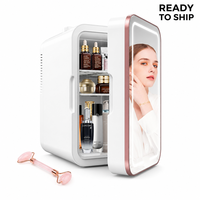 Mini-réfrigérateur compact portable en plastique, ultra-silencieux, économe en énergie, capacité de 6 L, pour voiture, maison, hôtel, prise en charge de la langue française