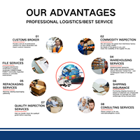 Service de messagerie international depuis la Chine via Express vers l'Australie, l'Espagne, l'Italie et plus encore - DPS avec assurance et assistance 24h/24 et 7j/7