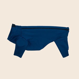 Qiqu Pet Supplies Custom New Designer Winter Dog body protezione UV tuta per animali domestici <span class=keywords><strong>a</strong></span> quattro zampe hot spot healing per bassotto - Product Image 5